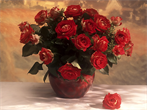 Fond d'écran gratuit de Fleurs - Roses numéro 62711